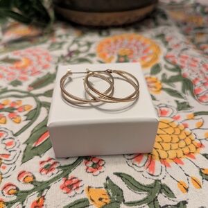 Elegant Gold Hoop Earrings